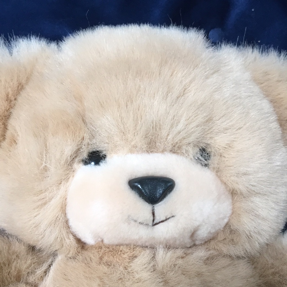 Love that smush face! Perfect like new condition. - Picture 2 of 7